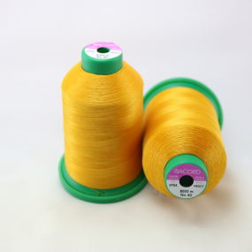 Isacord #40 Color 0704