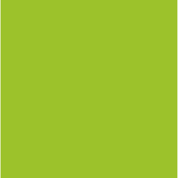 Heat Transfer Flex - Verde Manzana